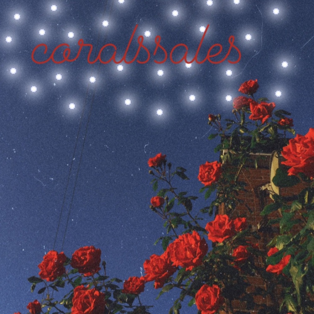 Meet your Posher, Coral